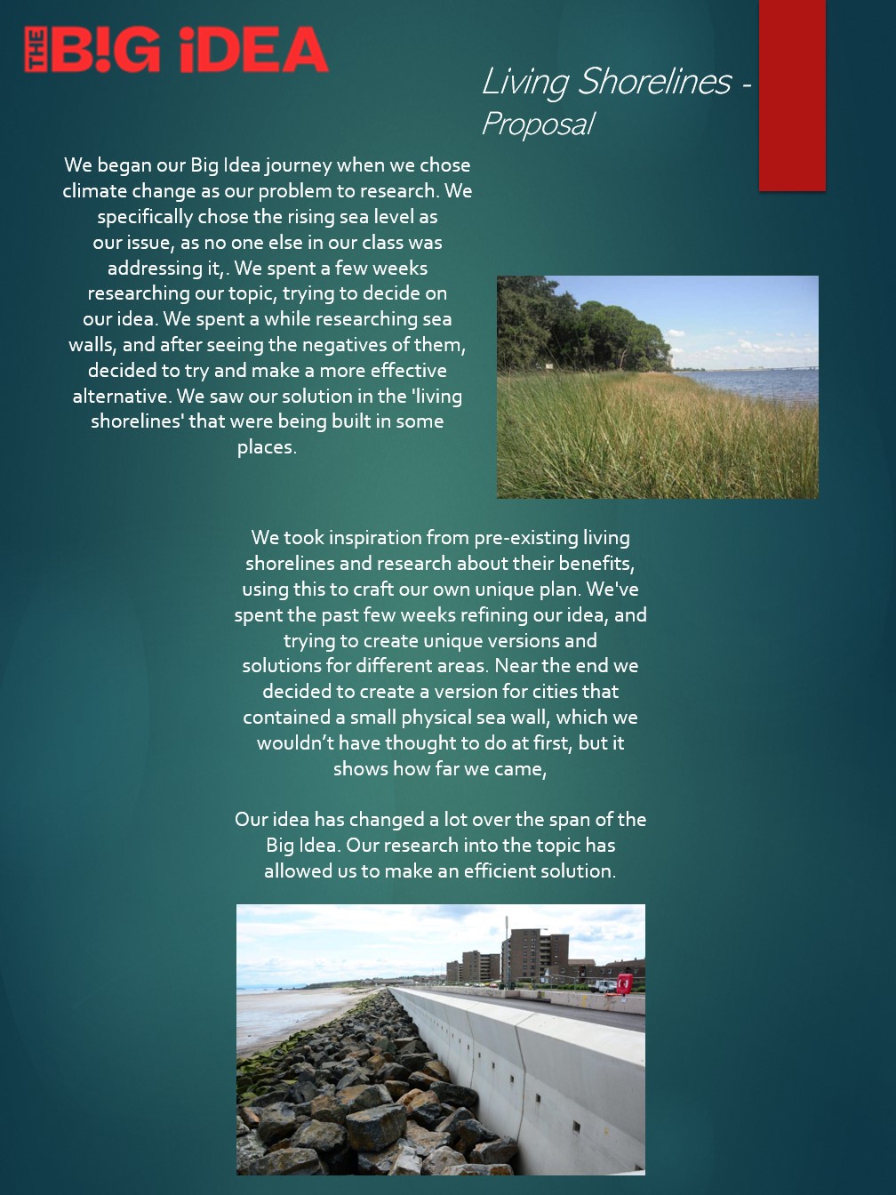 Living Shorelines1