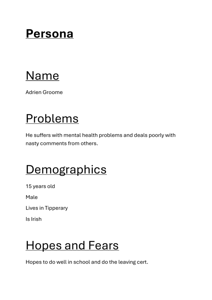 Persona Profile — page 1