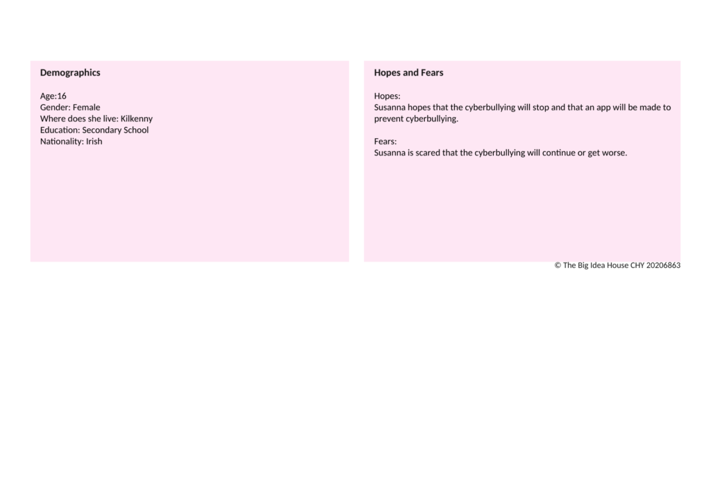 Persona Profile — page 2